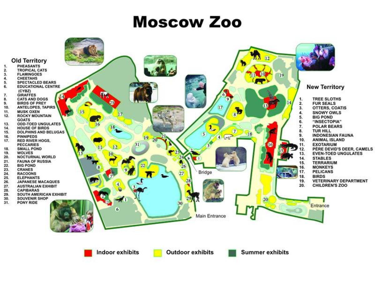 kart Moskva zoo